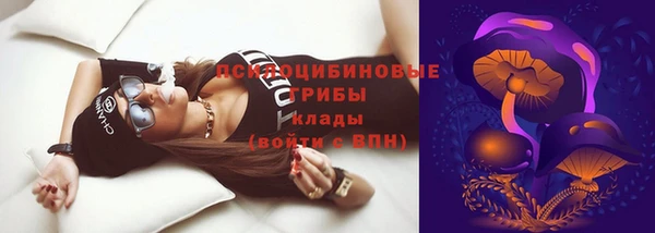 бошки Арсеньев